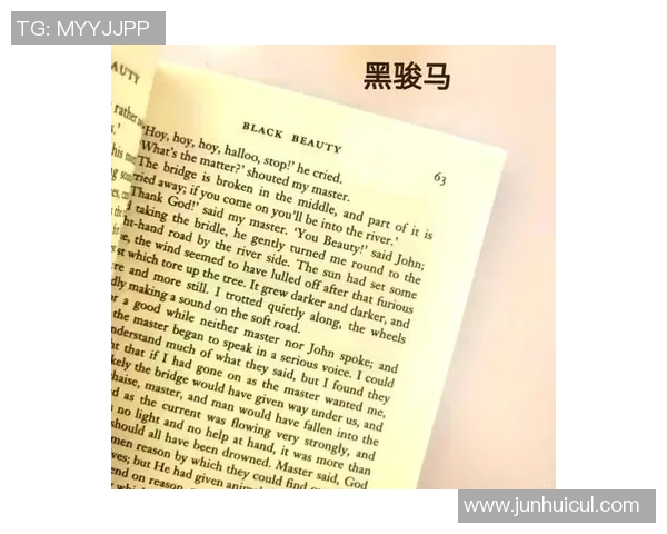 现役70后足球明星的辉煌历程与传奇故事揭秘